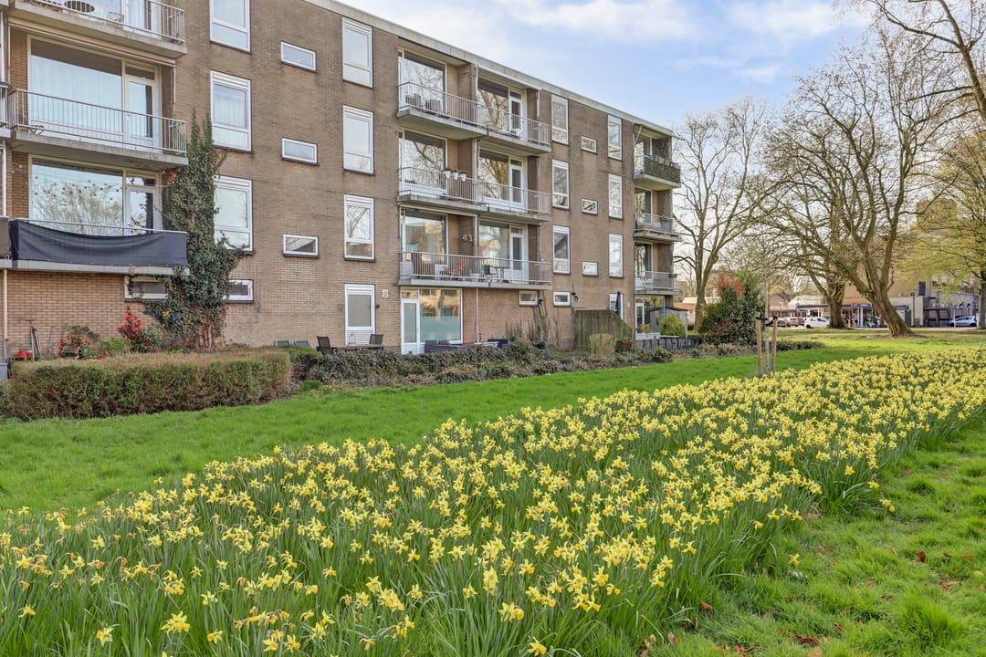 Photo 31 of van Herwijnenplantsoen 252