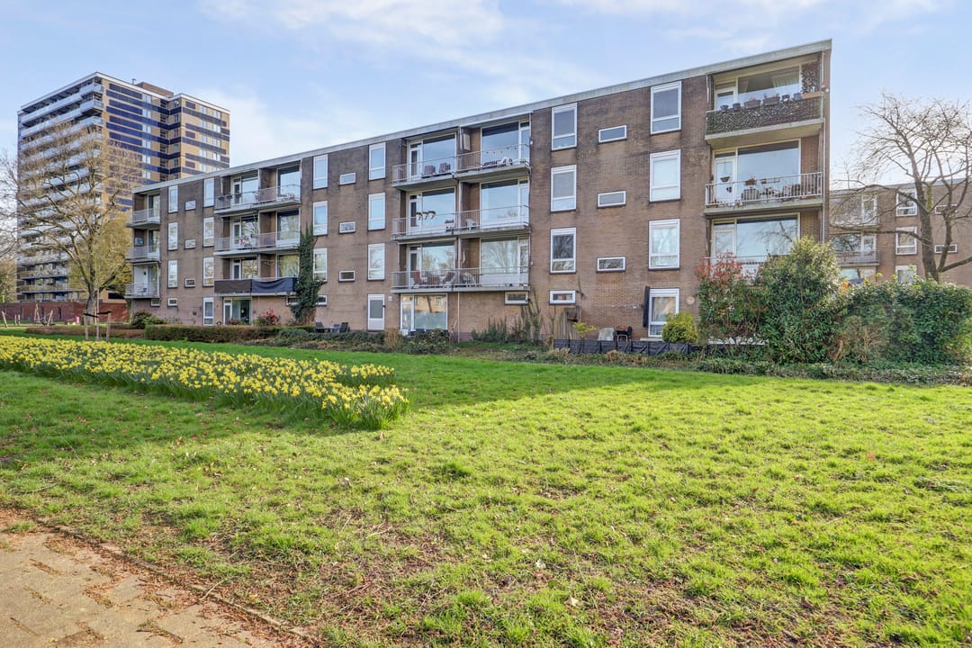 Photo 32 of van Herwijnenplantsoen 252