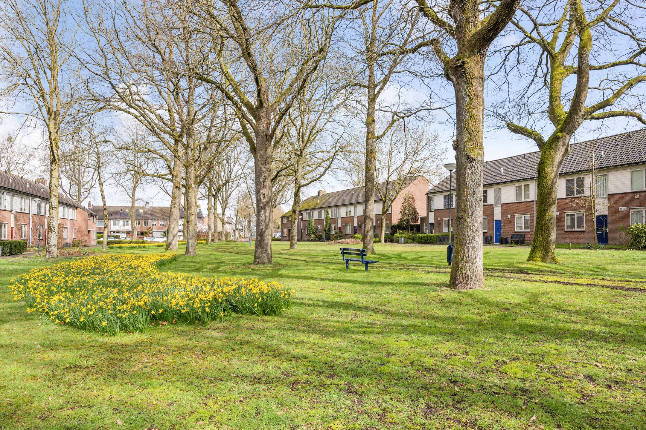 Foto 36 van Repelweg 99