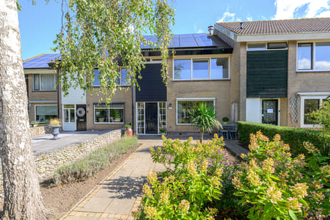 undefined main image