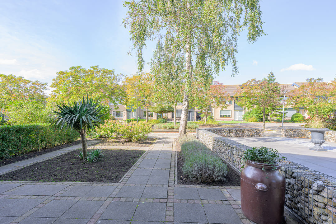 Foto 28 van Patrijs 17