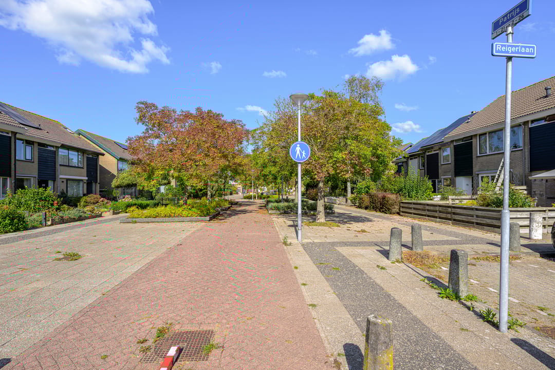 Foto 31 van Patrijs 17