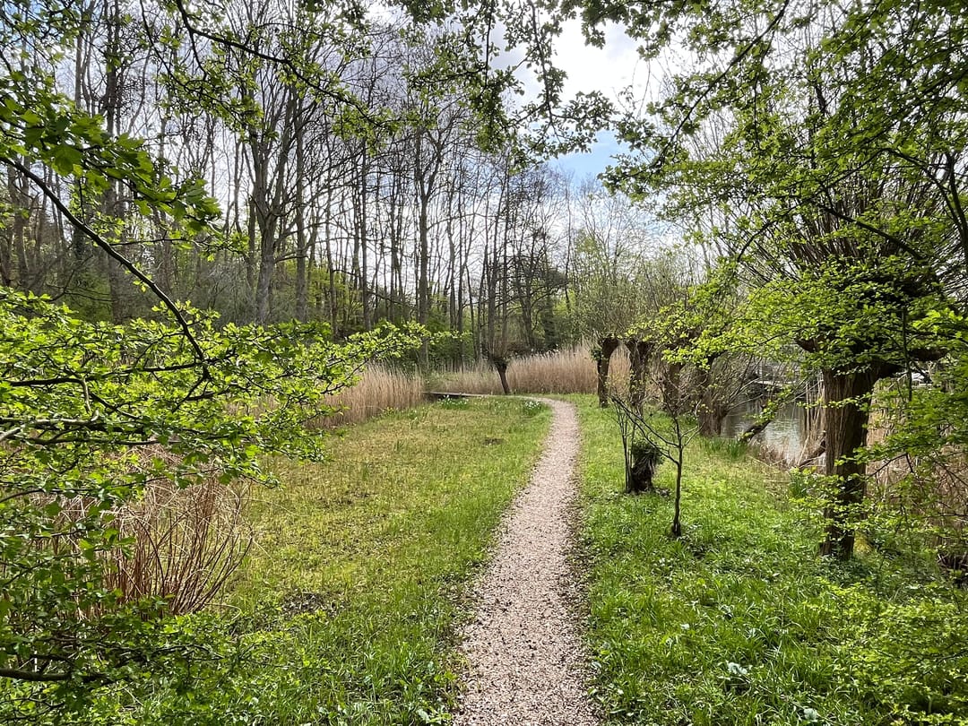 Photo 32 of Malusdreef 43