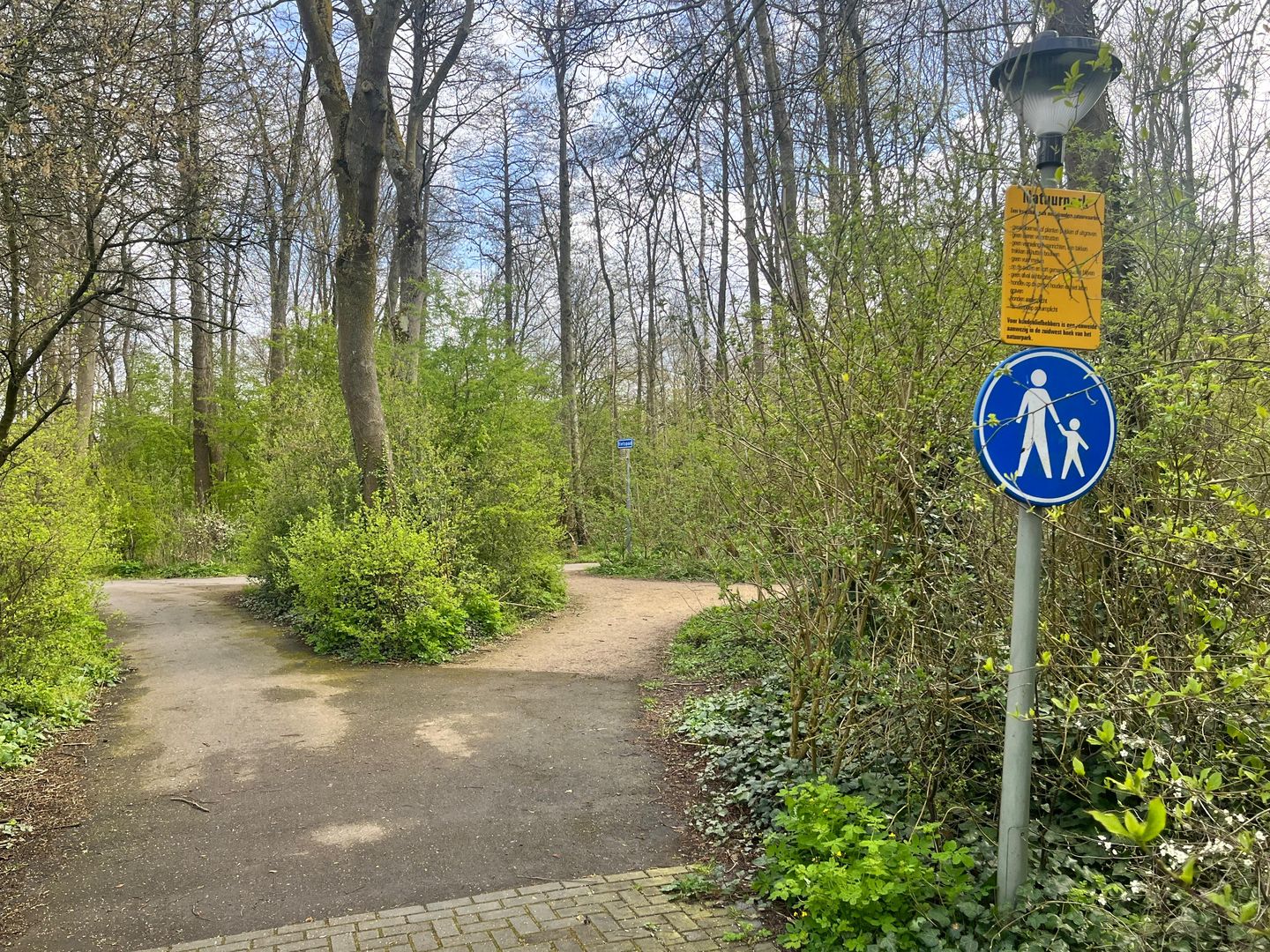 Photo 34 of Malusdreef 43