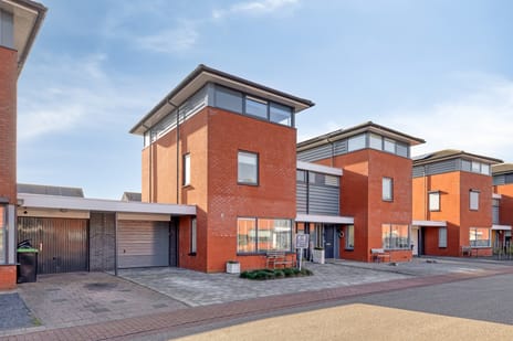 Robijnboog thumbnail