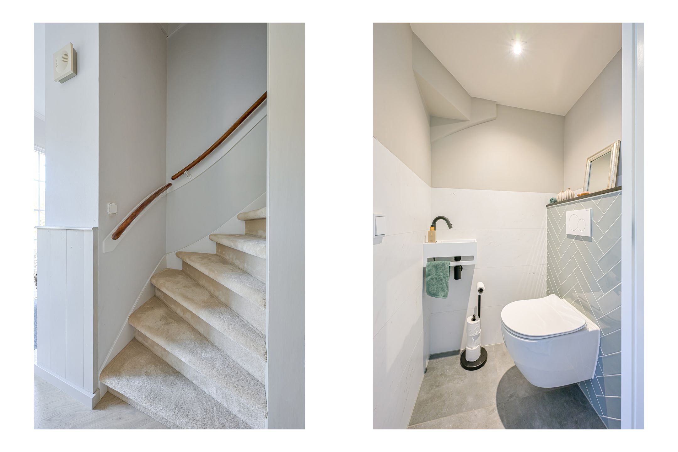 Foto 12 van Patrijs 17