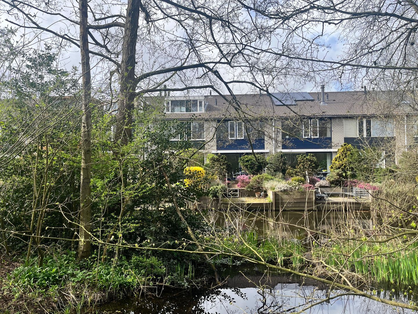 Photo 5 of Malusdreef 43