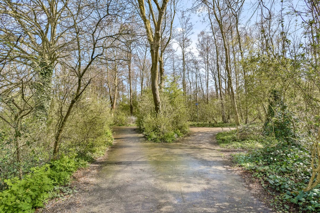 Photo 28 of Malusdreef 43