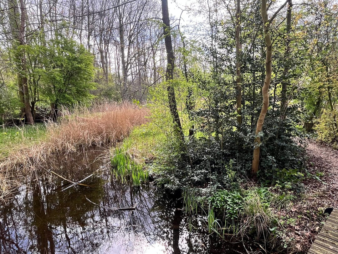 Photo 31 of Malusdreef 43