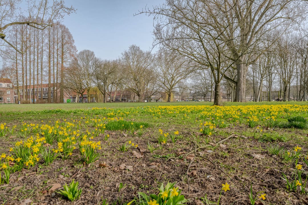 Foto 47 van Leo Lashleylaan 46-E