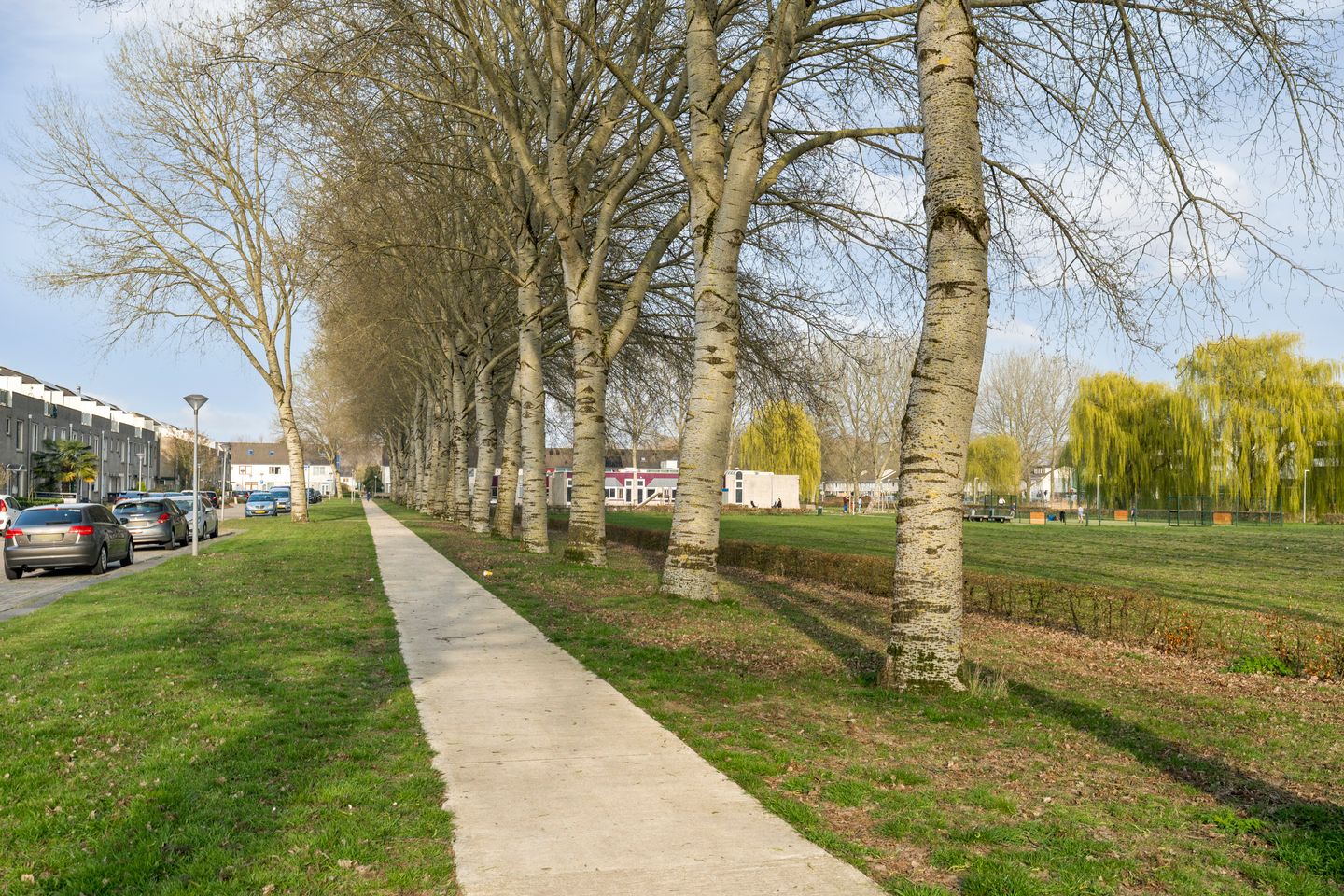 Foto 34 van M. de Klerkstraat 16