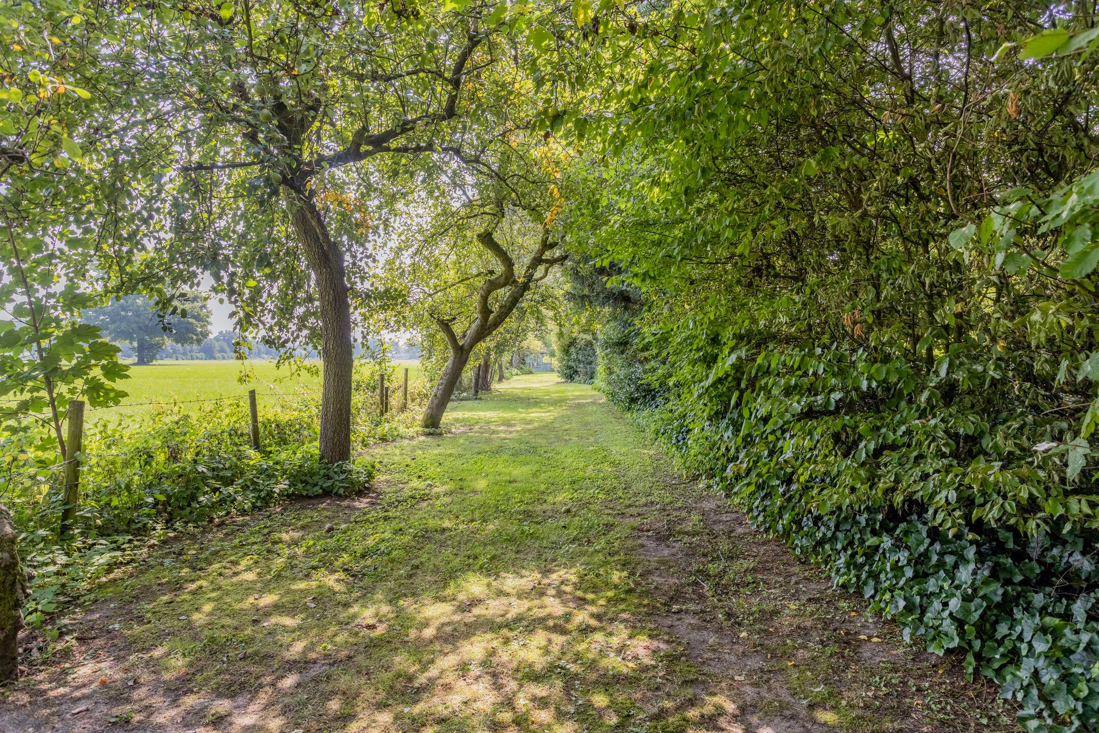 Foto 81 van Batsdijk 24