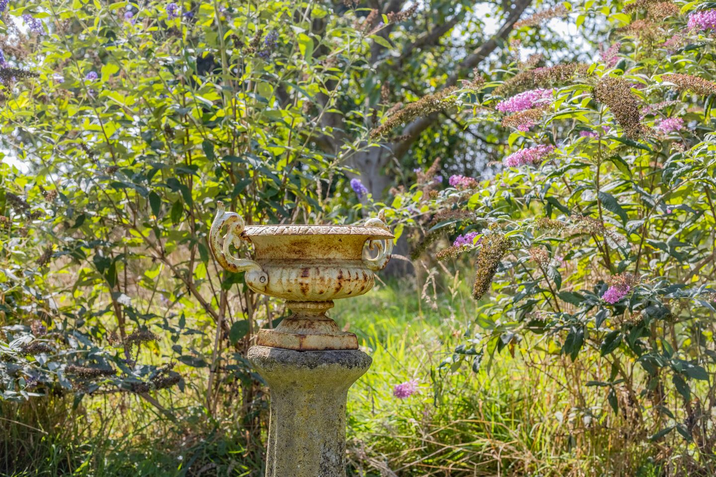 Foto 94 van Batsdijk 24