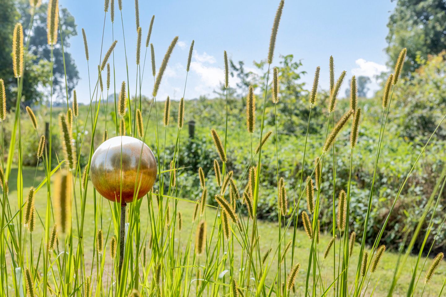 Foto 89 van Batsdijk 24