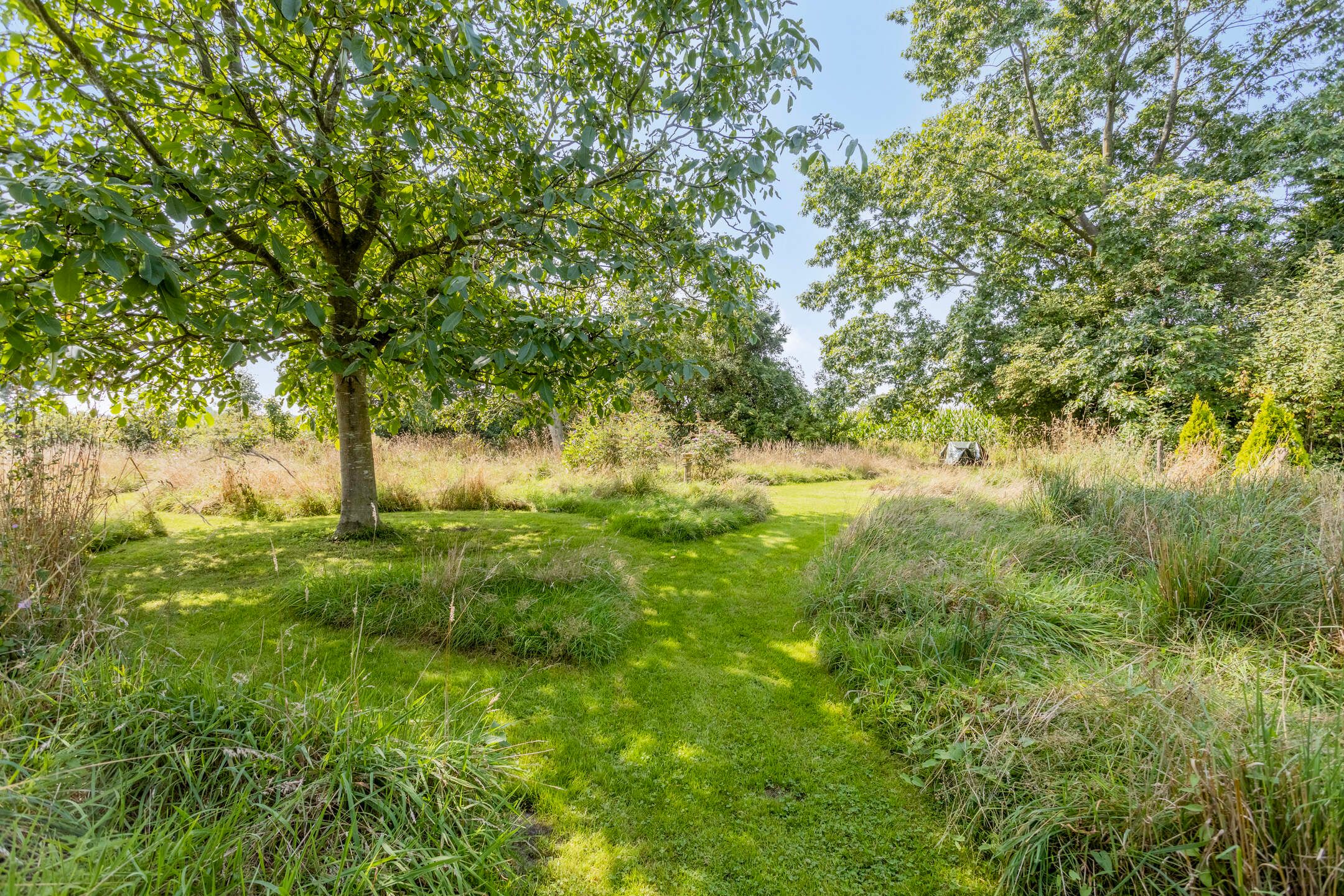 Foto 90 van Batsdijk 24