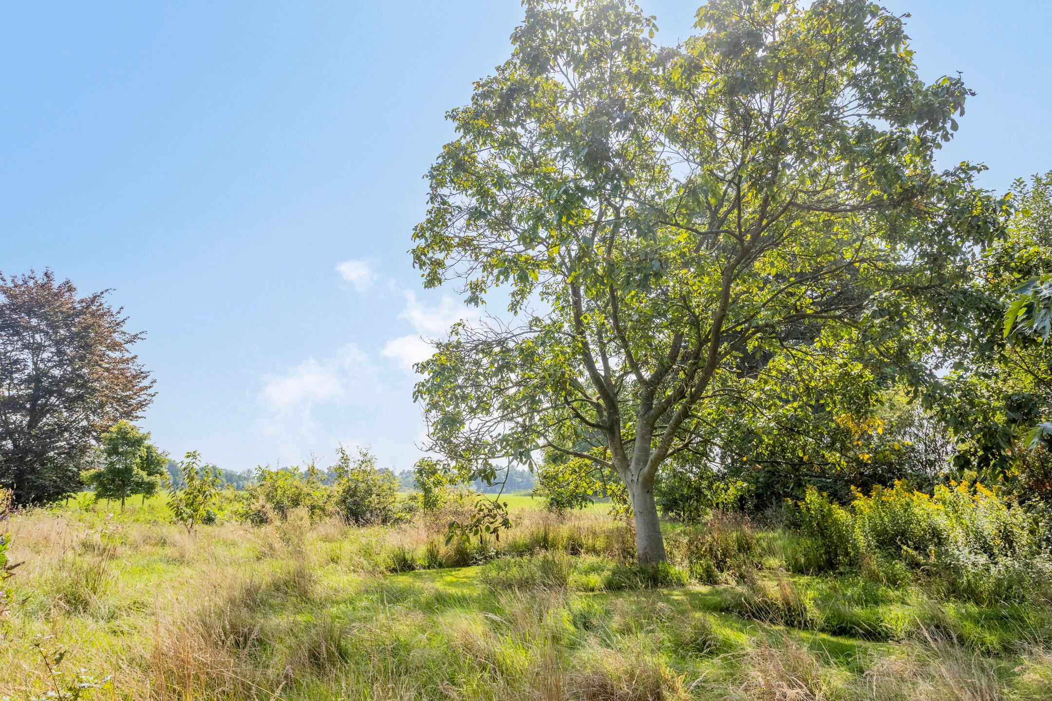 Foto 93 van Batsdijk 24