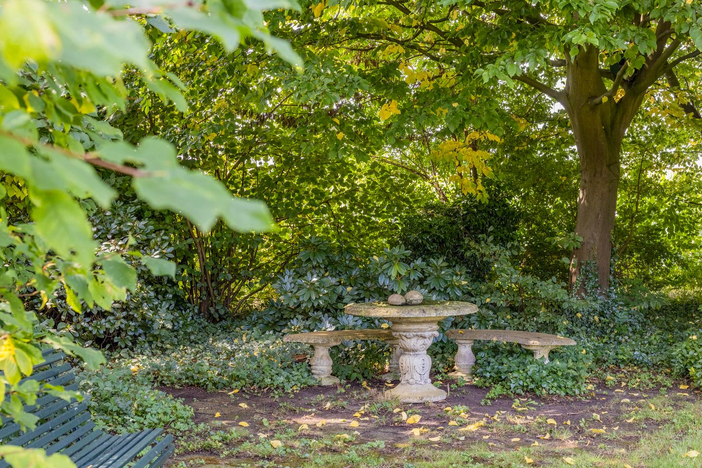 Foto 95 van Batsdijk 24