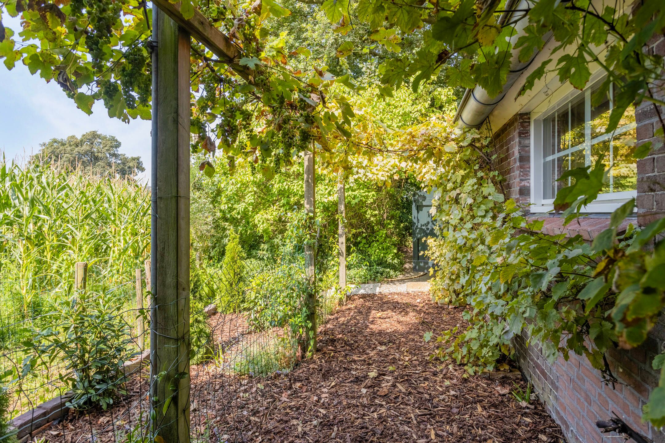 Foto 96 van Batsdijk 24