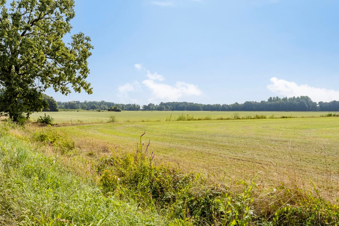 Foto 98 van Batsdijk 24