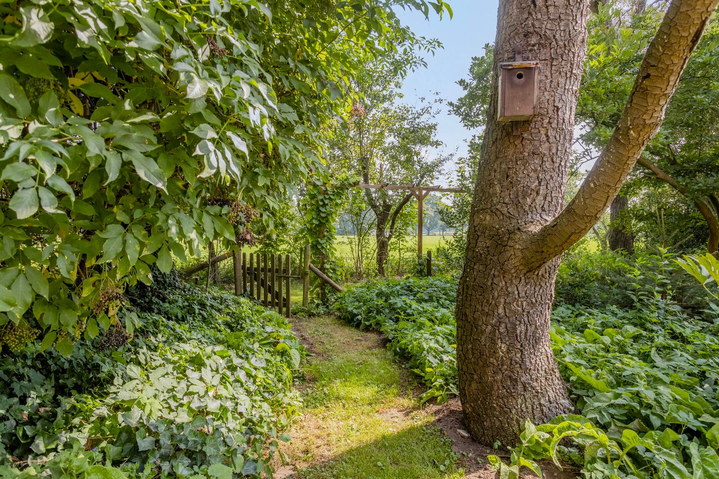 Foto 80 van Batsdijk 24