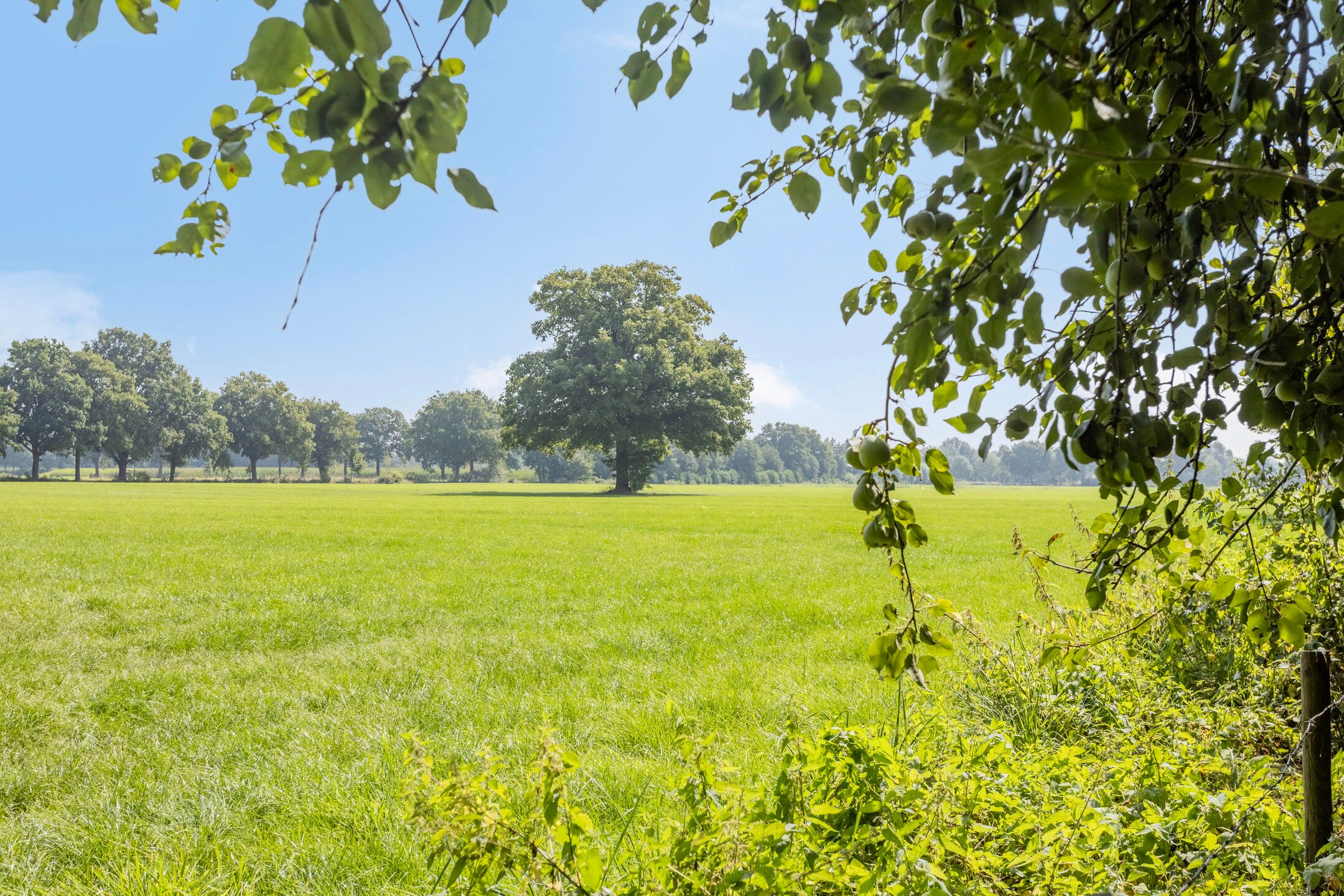 Foto 99 van Batsdijk 24