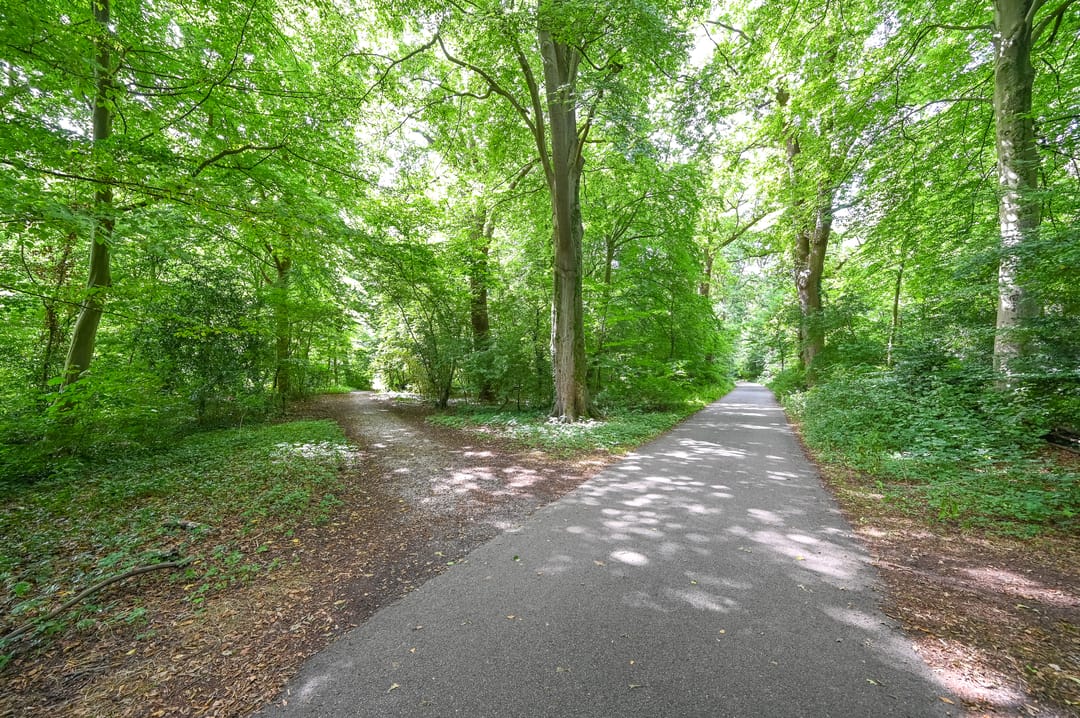 Spacious maisonette with park views in Haarlem's Bosch en Vaart — 32