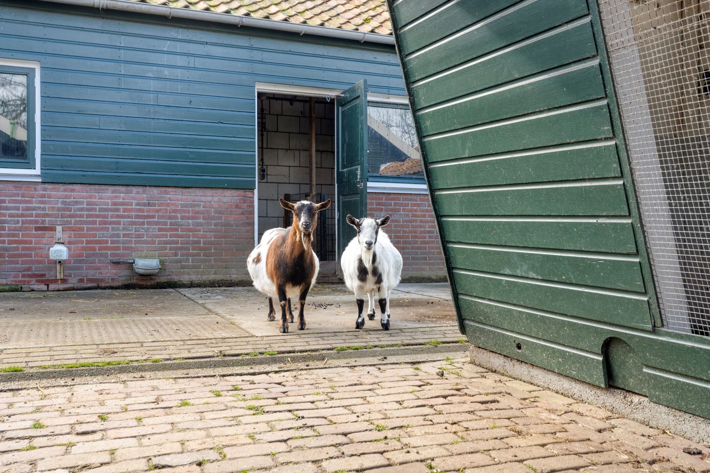 Foto 40 van Huis te Veldelaan 65