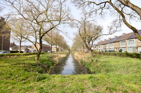 Jan van Eyckgracht 173 secondary image