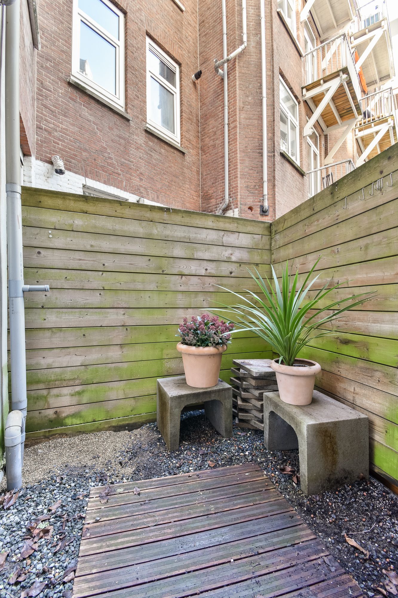 Foto 15 van Frederik Hendrikplantsoen 96-H