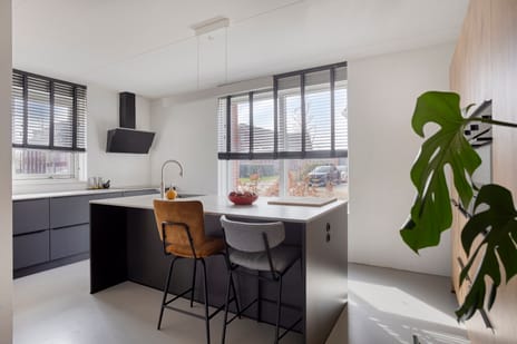 Oregano 9 secondary image