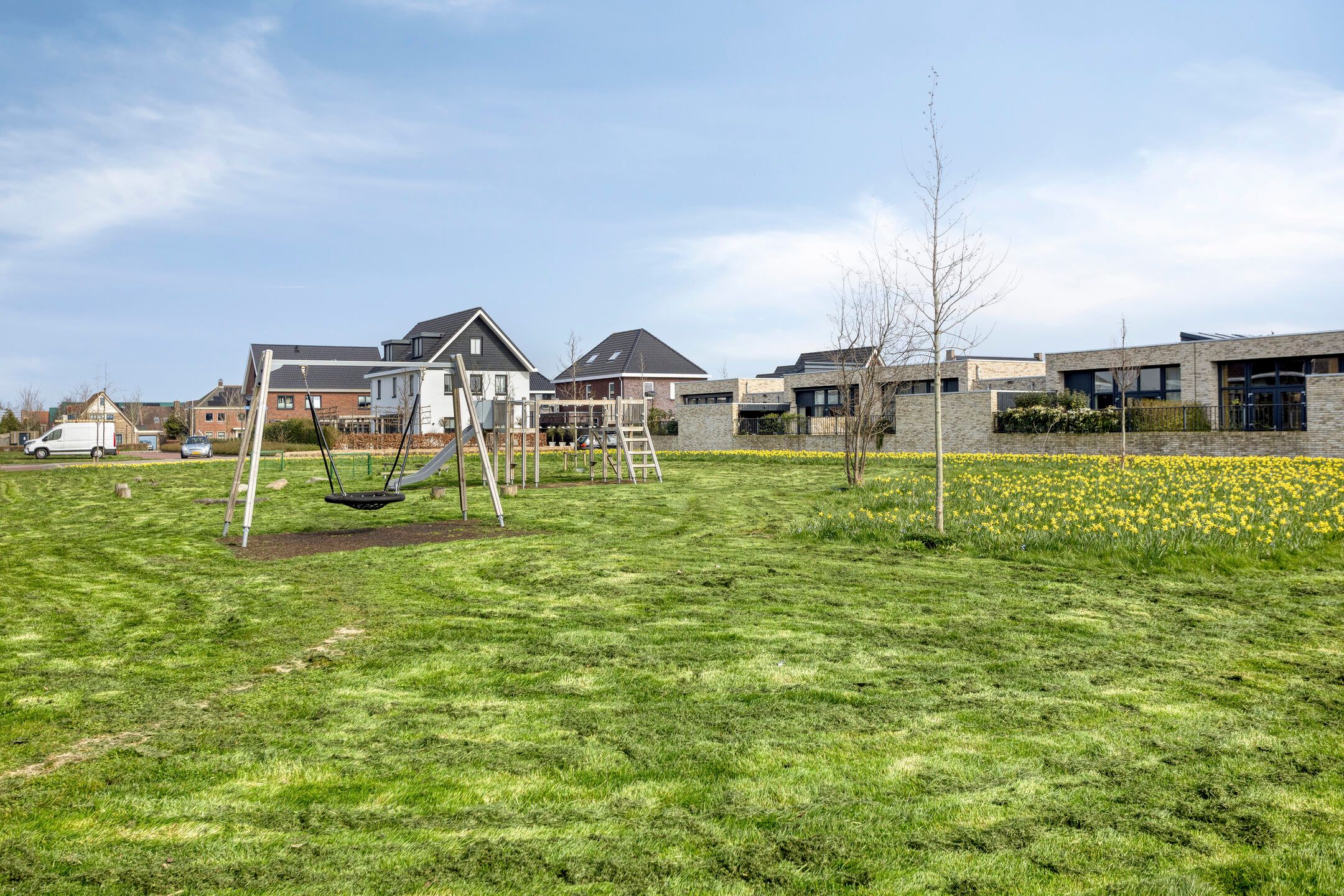 Foto 57 van Oregano 9