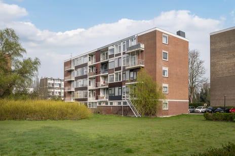 van der Waalsstraat thumbnail