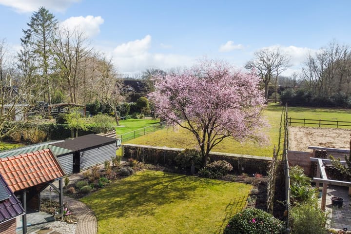 Foto 2 van Beilerstraat 27