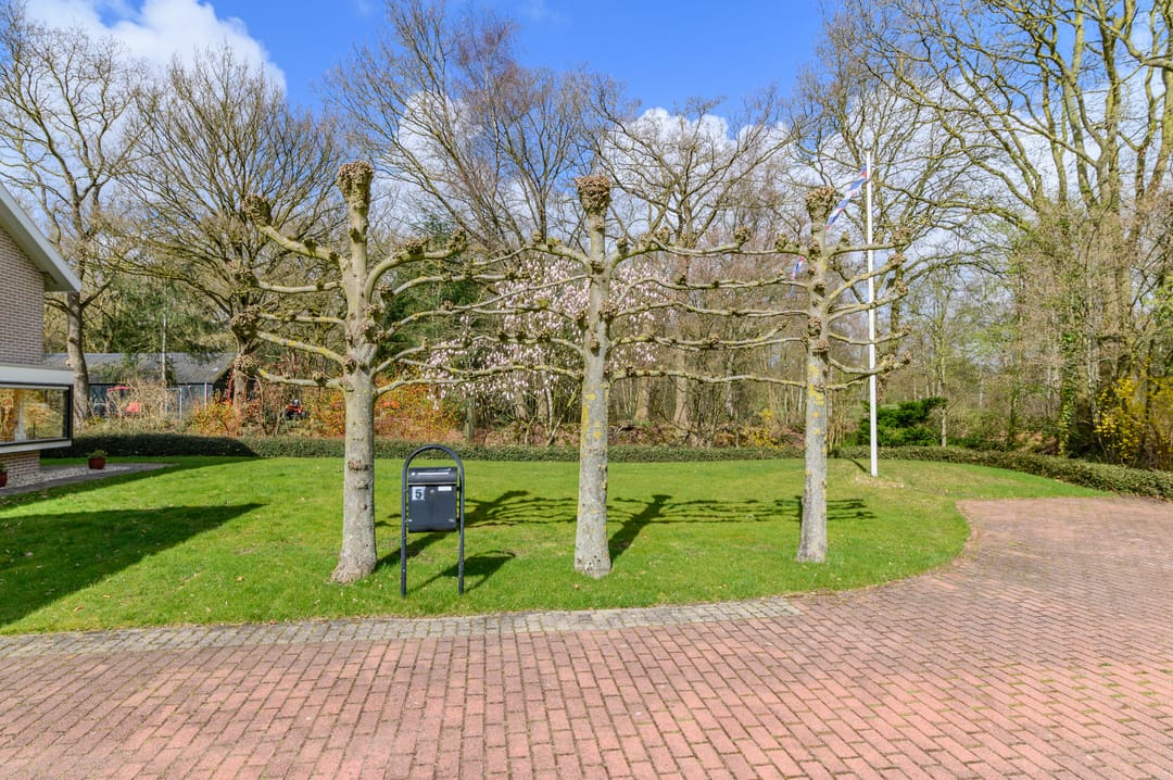 Photo 41 of Boskreek 5