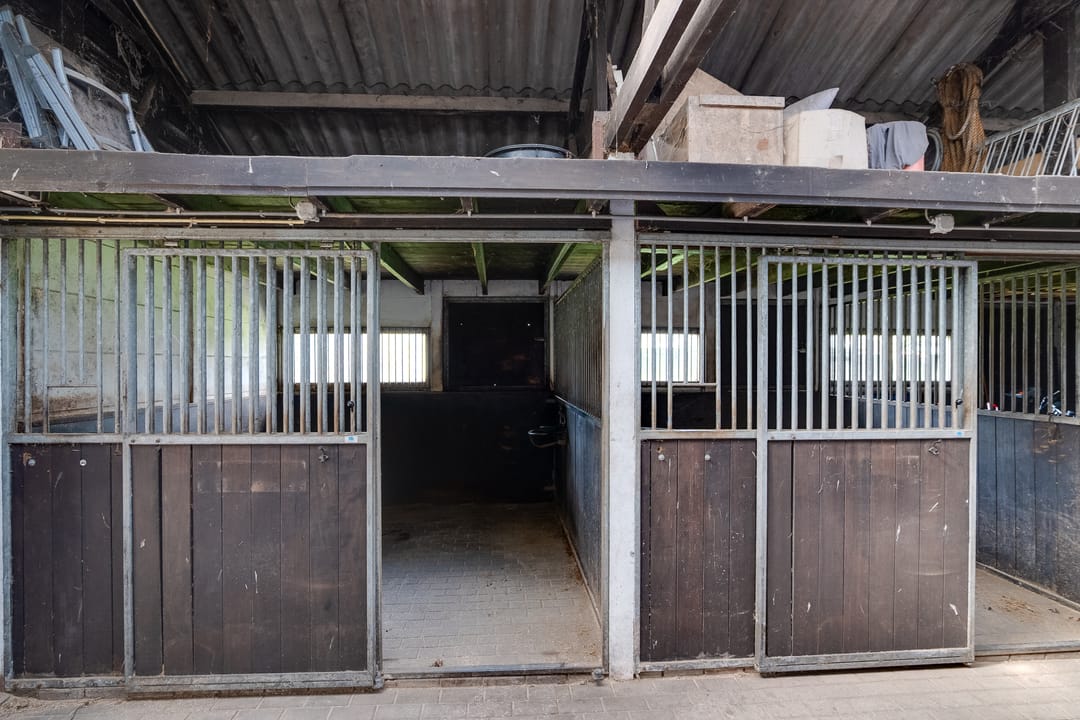 Detached Equestrian Property Near Dwingelderveld National Park — 37