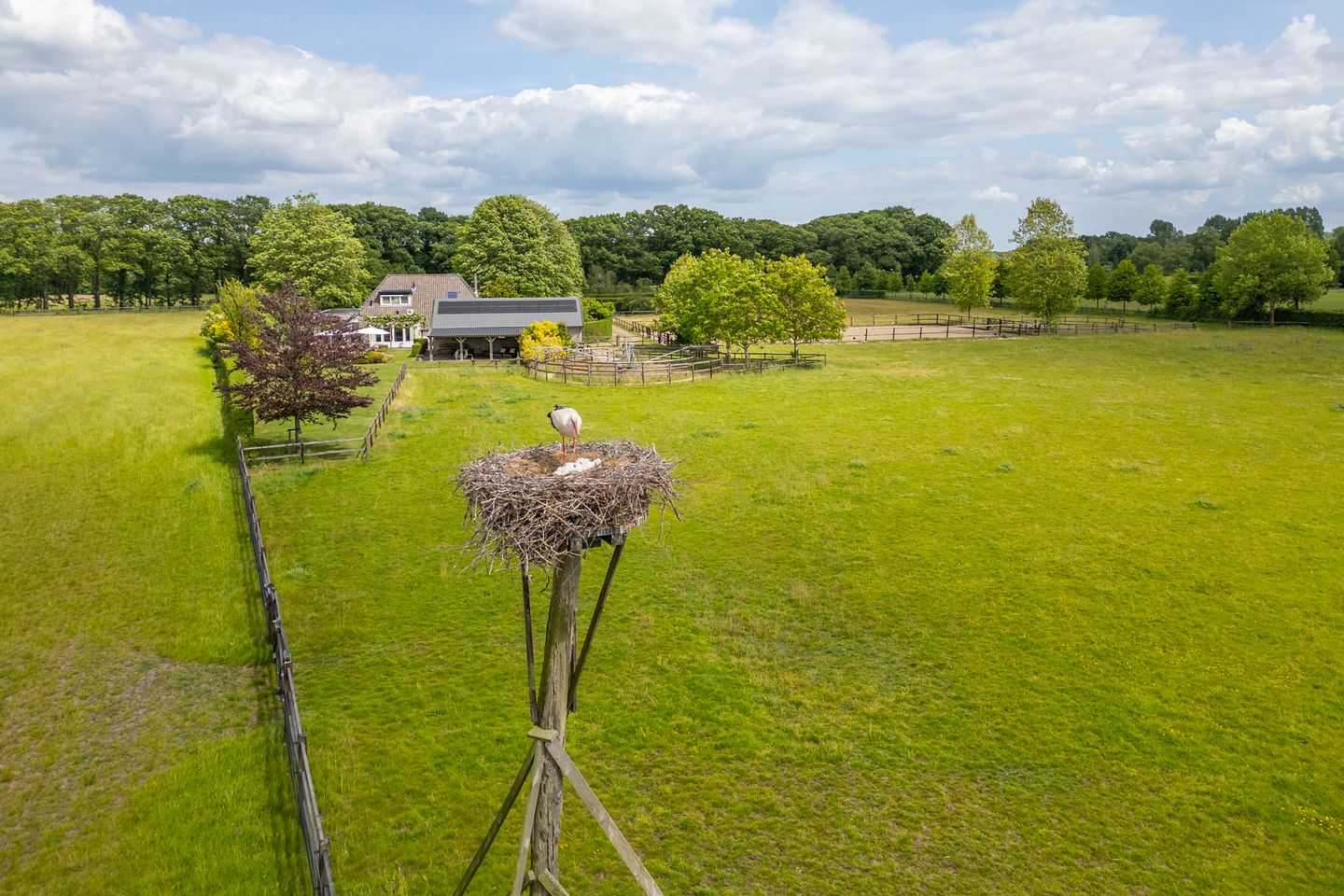 Charmante woonboerderij met gastenverblijf en paardenfaciliteiten op ruim 3 hectare — 55