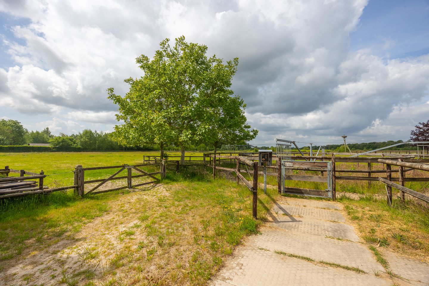 Charmante woonboerderij met gastenverblijf en paardenfaciliteiten op ruim 3 hectare — 81