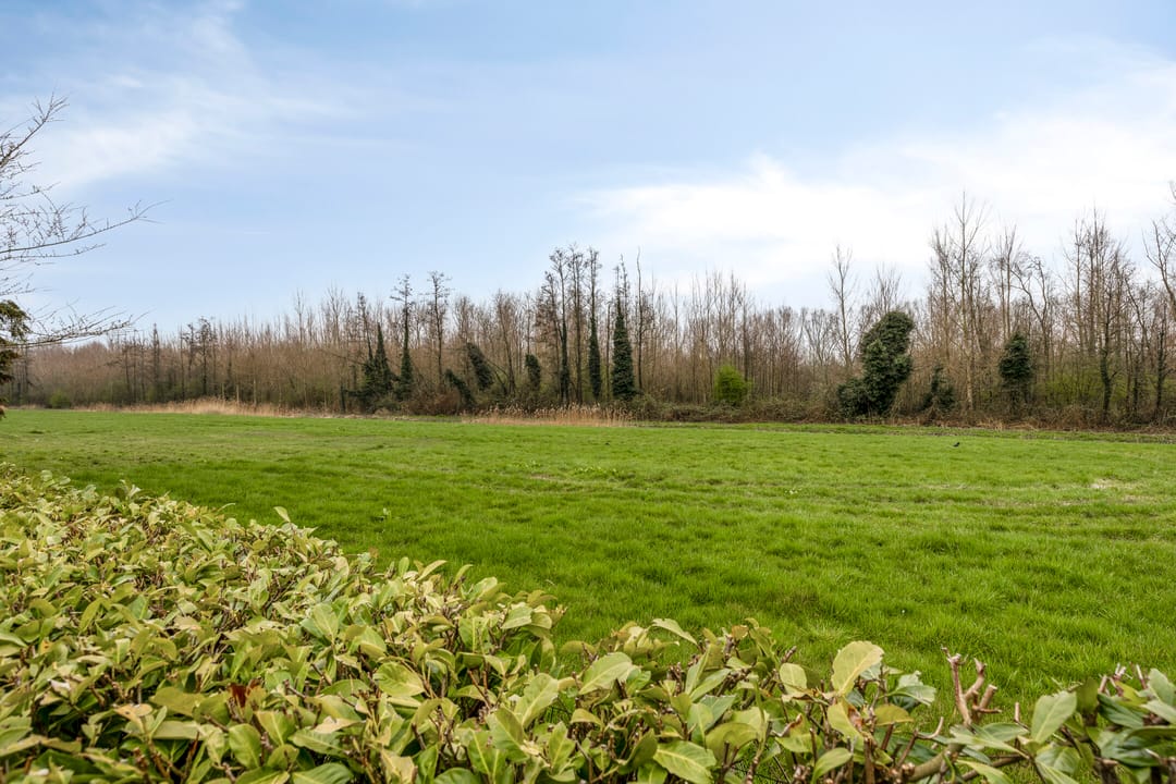 Foto 91 van Purmerenderweg 22