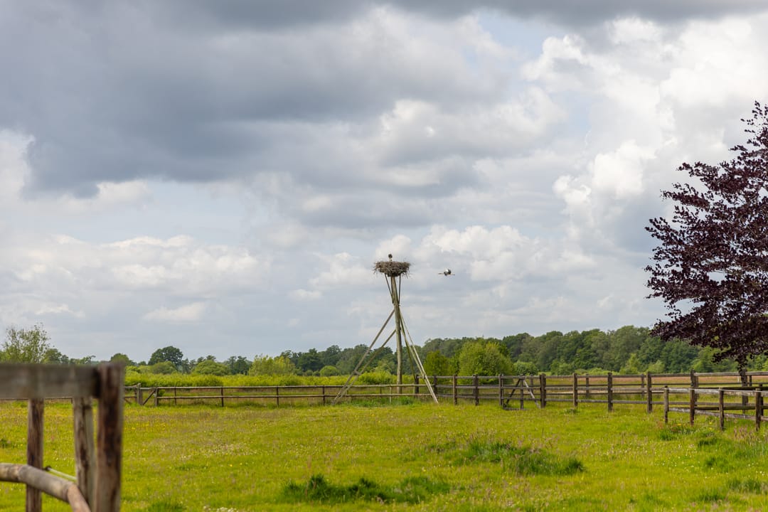 Charmante woonboerderij met gastenverblijf en paardenfaciliteiten op ruim 3 hectare — 77