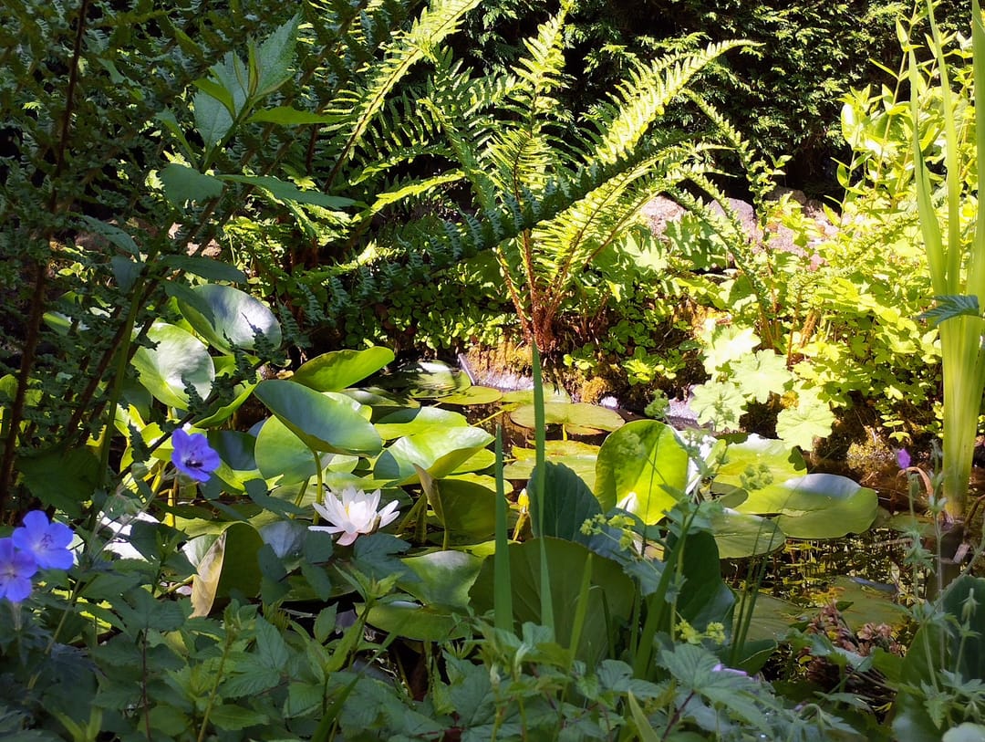 Foto 23 van Hoepmakerspad 2