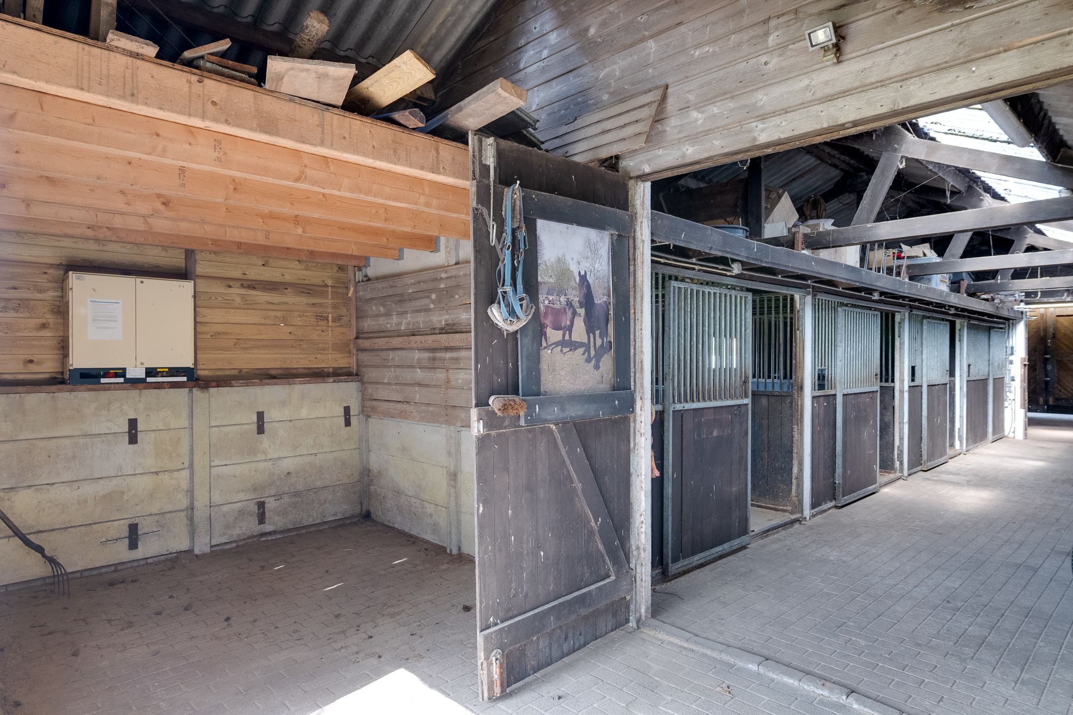 Detached Equestrian Property Near Dwingelderveld National Park — 36