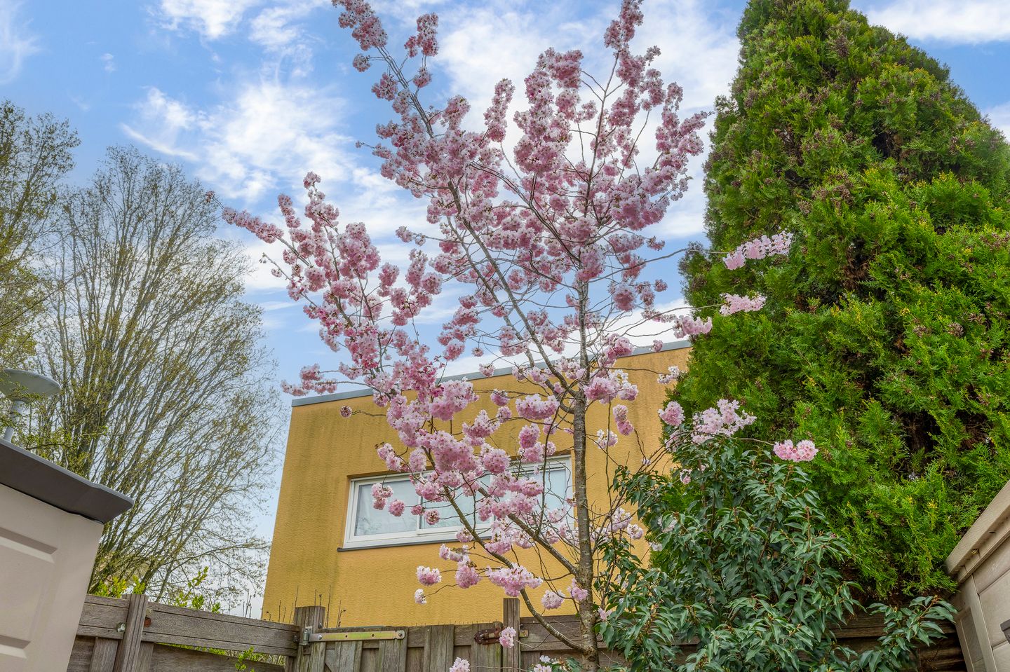 Photo 35 of Pieter Klapwijkstraat 24