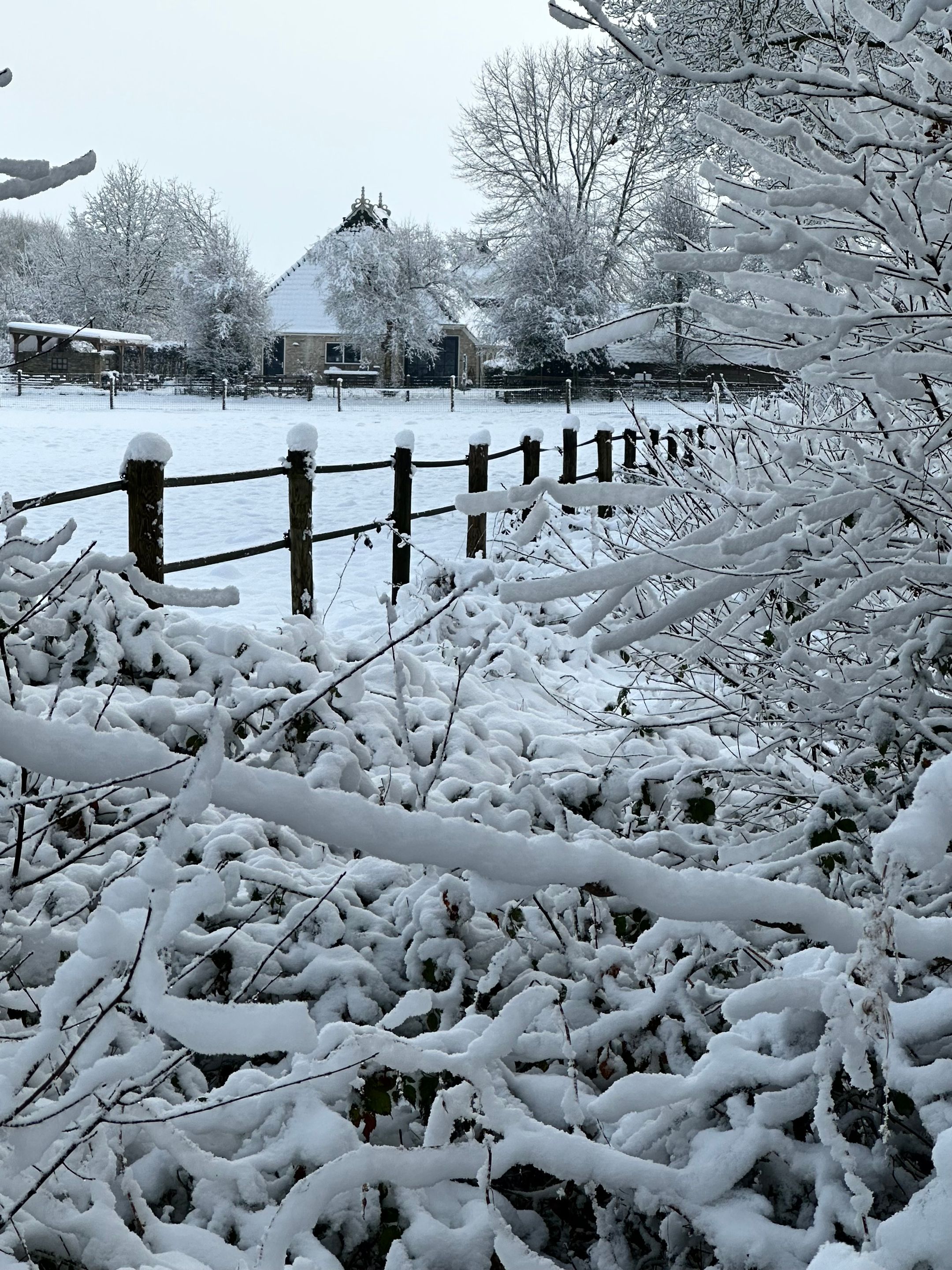 Photo 39 of Schoterlandseweg 9