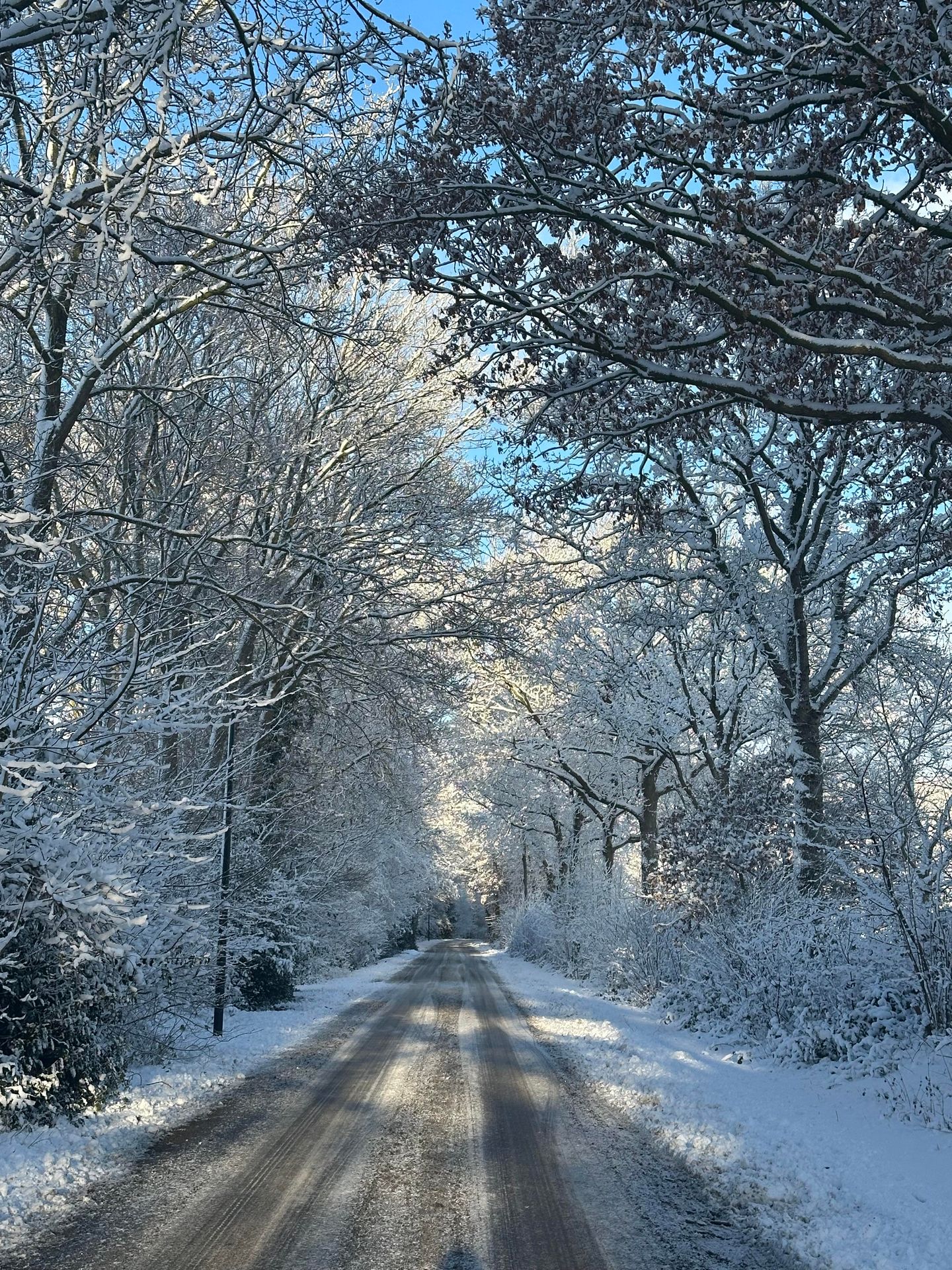Photo 40 of Schoterlandseweg 9