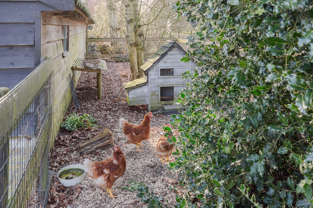 Photo 32 of Schoterlandseweg 9