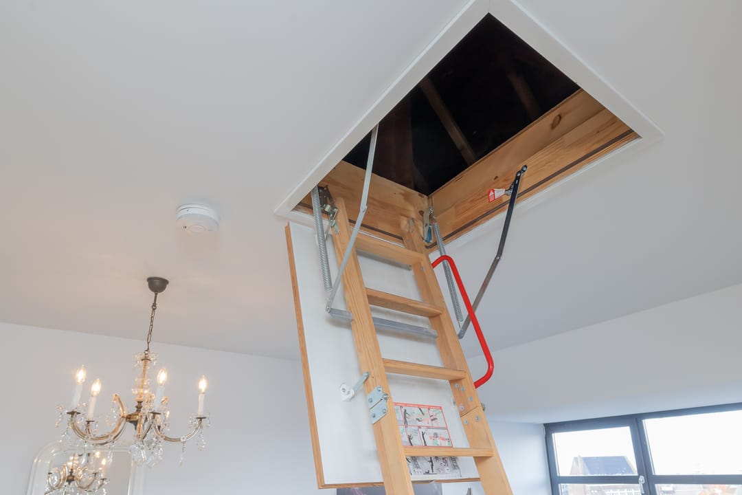 Foto 53 van Picképlein 6