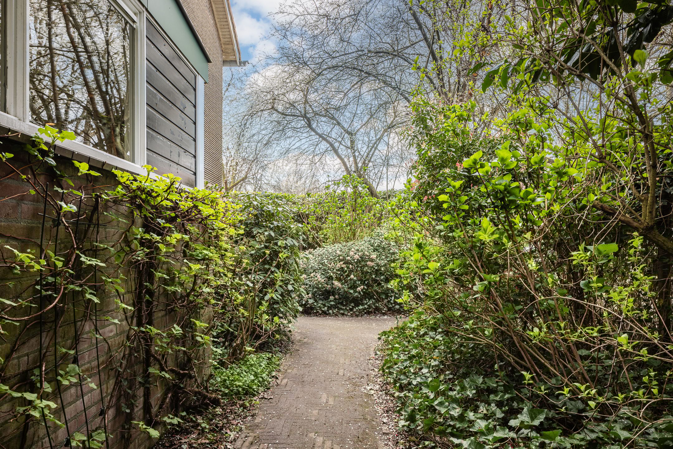 Foto 48 van Bakenbergseweg 216