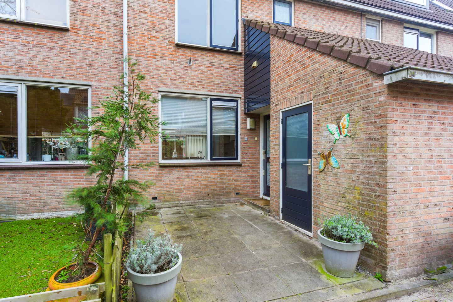 Foto 5 van Haarmos 10