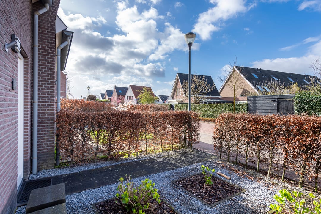 Foto 8 van Elstar 24