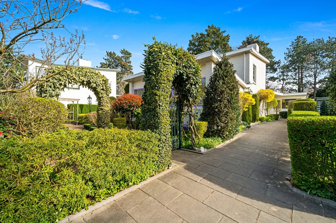 Foto 1 van Loevesteinlaan 218